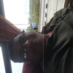 chidanand7796 profile picture
