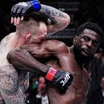 chidibangnjoku profile picture
