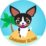 chihuahuaislander profile picture