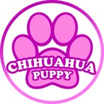 chihuahuapuppy profile picture