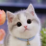 chikni_chameli_064 profile picture