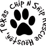 chip_n_snip profile picture