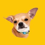 chipozeri profile picture