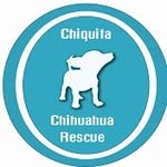 chiquitachihuahuarescue profile picture