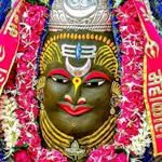 chirag.jhala7 profile picture