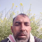chodharyaamin profile picture