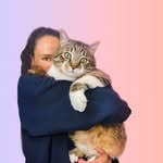 chonky.cat.boris profile picture