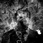 chornobyl.archive profile picture