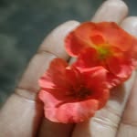 choti76794 profile picture