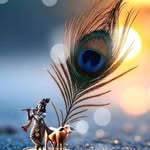 choudhary__nitin_kumar profile picture