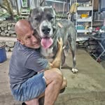 chourmichael_thesoundofanimals profile picture