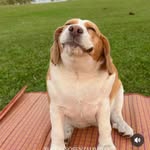 chri_girotti profile picture