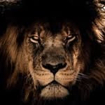 chris_moneymaker_ profile picture