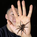 chrisssssssspidopher profile picture