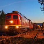 christian.kobis profile picture