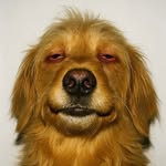christian.tentua profile picture