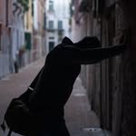 christophe.enfr profile picture