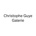 christopheguyegalerie profile picture