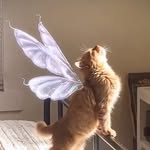 chrystinrenee profile picture