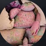 chutt_chatunga_ profile picture