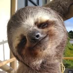 chuwieelgalan profile picture