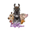 cibouetcompagnie profile picture