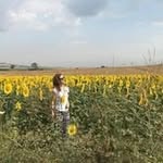 ciceksahinurkmez profile picture