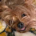 cici.jackson.93 profile picture