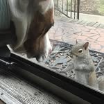 cidandbella profile picture