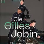 ciegillesjobin profile picture