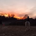 cierra_kelly28 profile picture