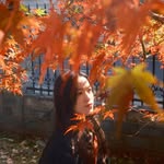 ciliaaaahoi profile picture