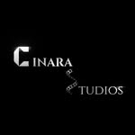 cinarastudios profile picture