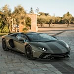 cinco_savage5 profile picture