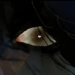 cinderblocksss profile picture