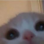 cinding_official profile picture