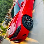 ciscos392 profile picture