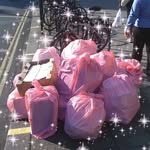 citygirlscleanup profile picture