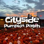citysidepumpkinpatch profile picture