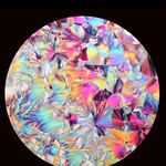 cj22wmm profile picture