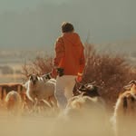 cj_karki profile picture
