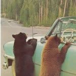 claravillegas_ profile picture