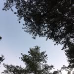 clareshilland profile picture