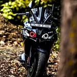 classy_ridar_68_ profile picture