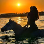 claudia.equitation profile picture