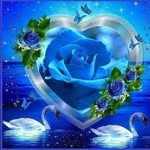 claudiaosccorivas profile picture