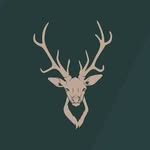 cleanupstorage profile picture