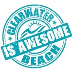 clearwaterbeachisawesome profile picture