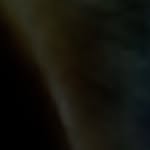 clecantephotography profile picture