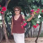 cleonidesdasilvapereira profile picture